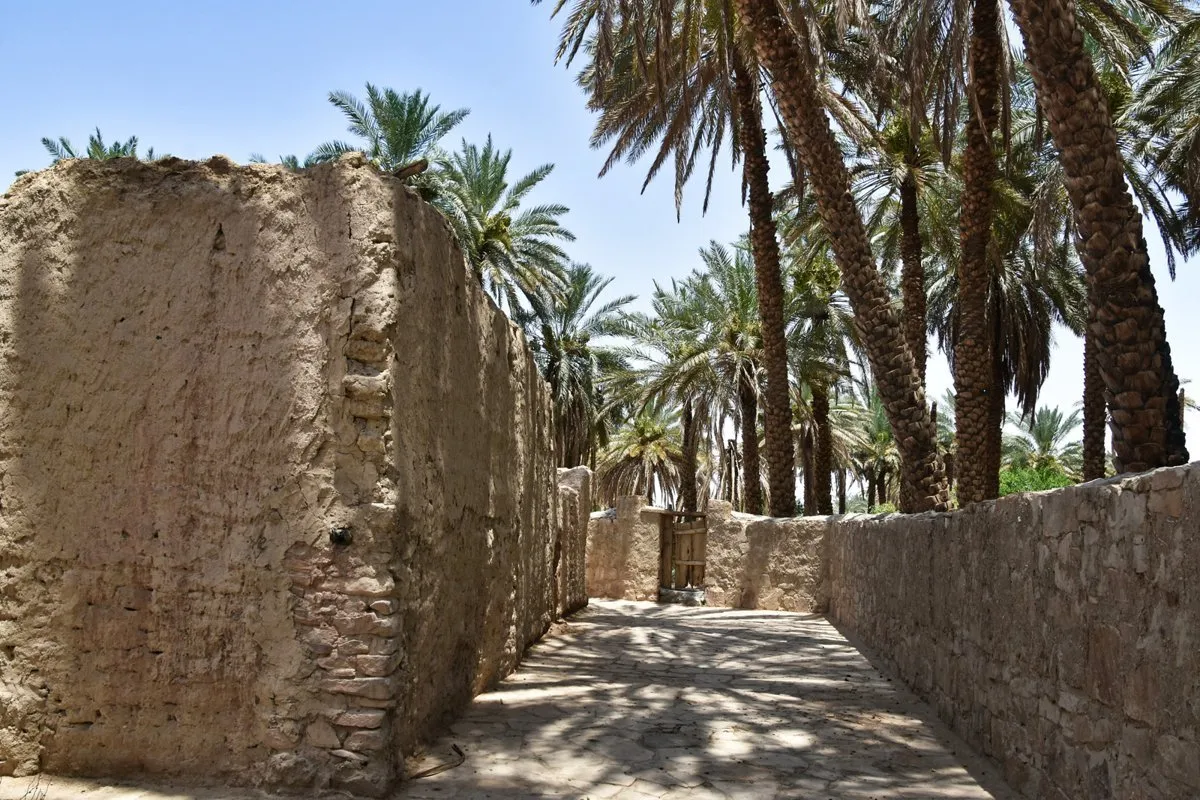 Explore Taima: A Historical Gem in Saudi Arabia