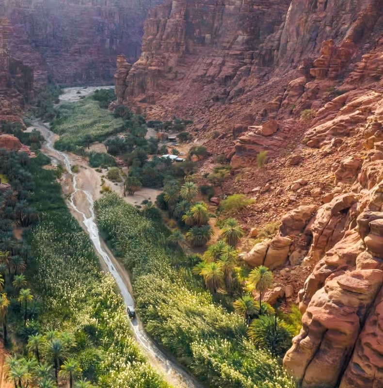 Al-Disah Valley Tour