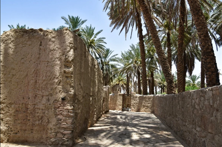 Explore Taima